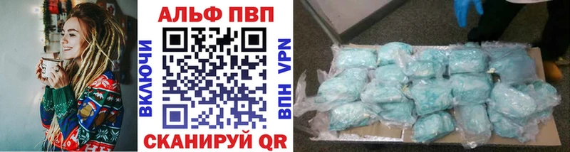дарнет шоп  Инта  ОМГ ОМГ как войти  Alpha PVP СК 