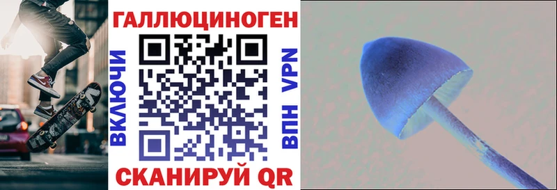сколько стоит  Инта  блэк спрут   Галлюциногенные грибы MAGIC MUSHROOMS 