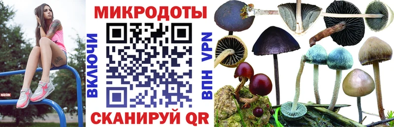 Псилоцибиновые грибы Cubensis Инта